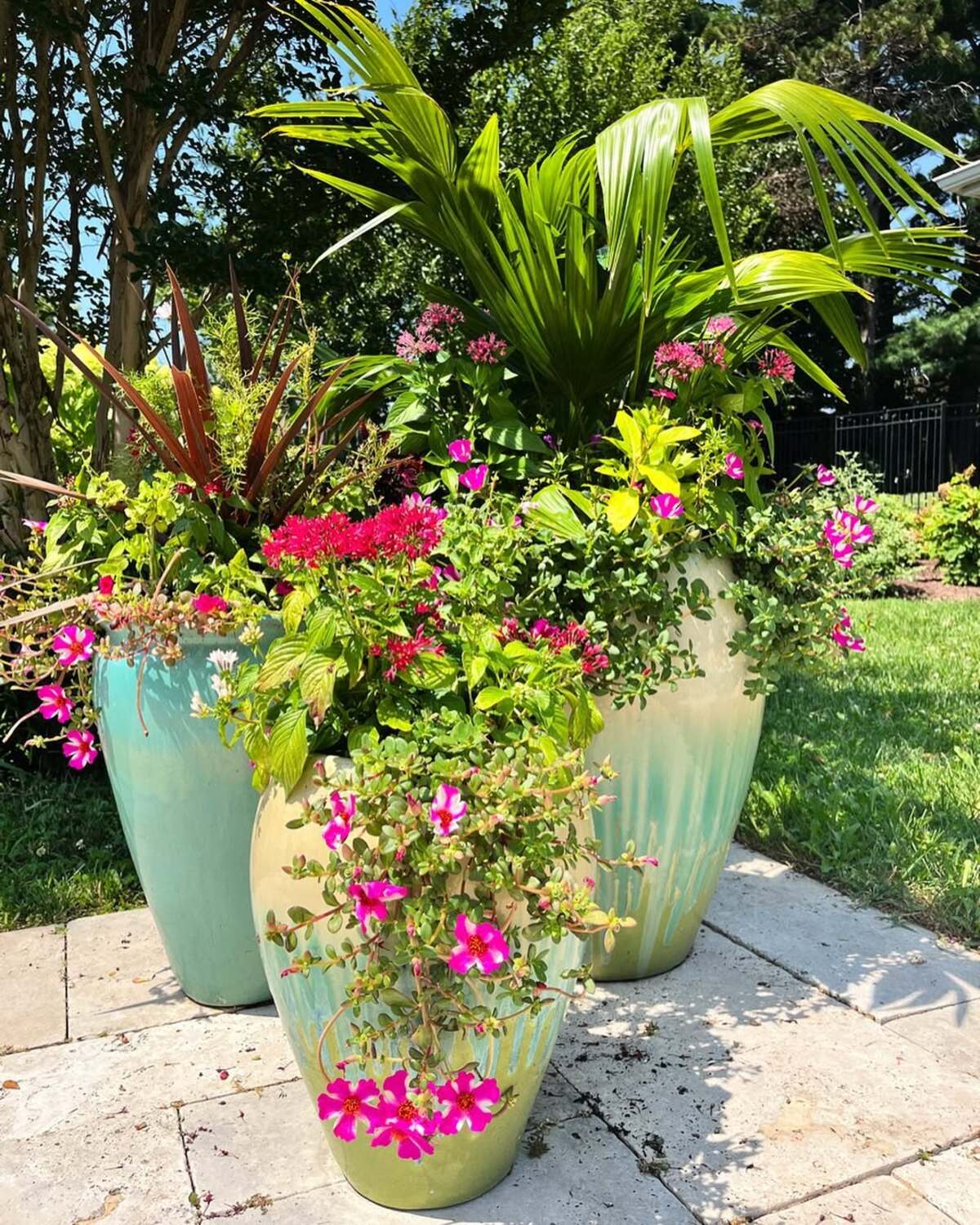 beautiful container plants perfect for poolside decor 23