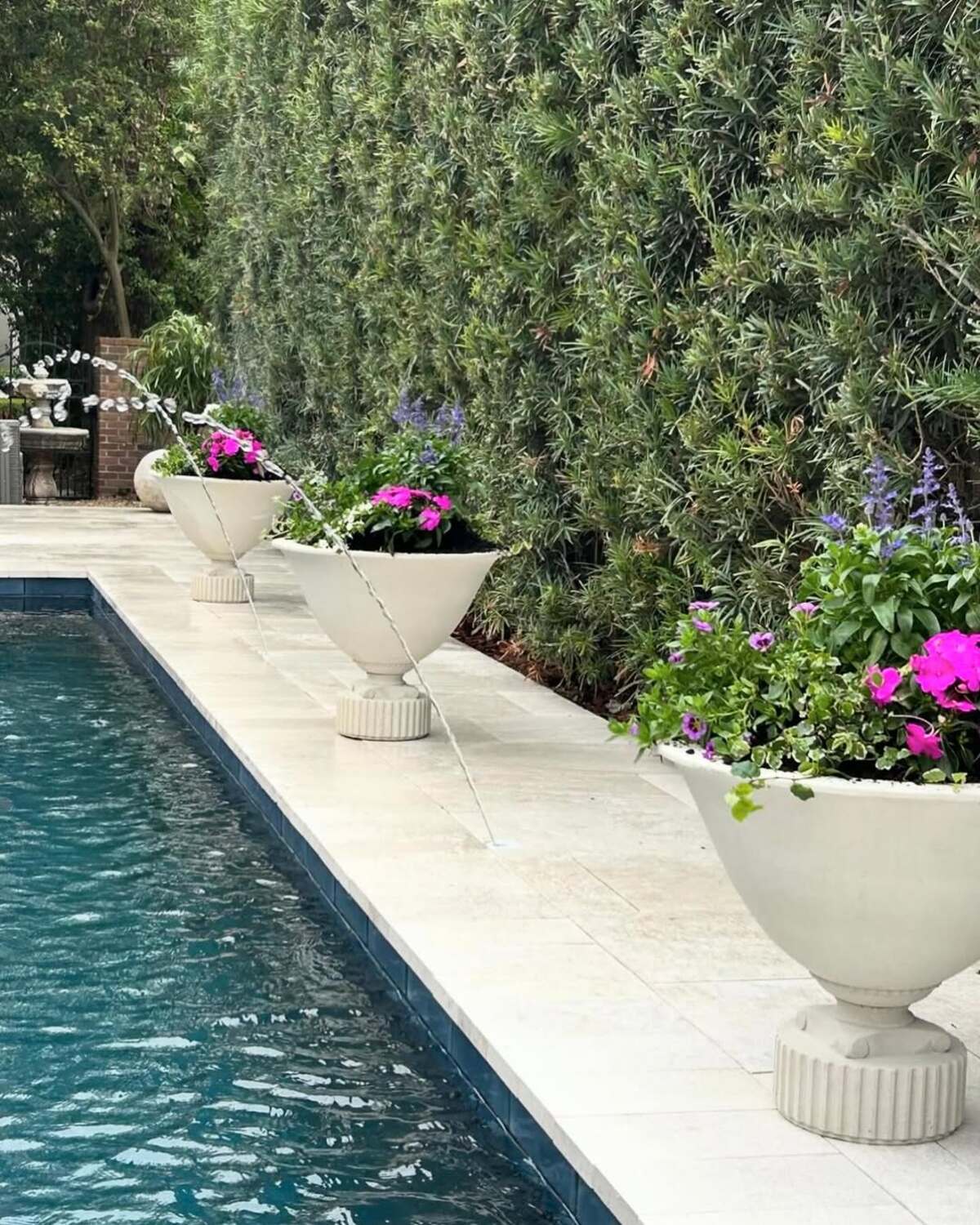 beautiful container plants perfect for poolside decor 24