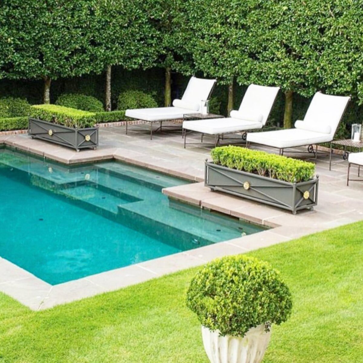 beautiful container plants perfect for poolside decor 4