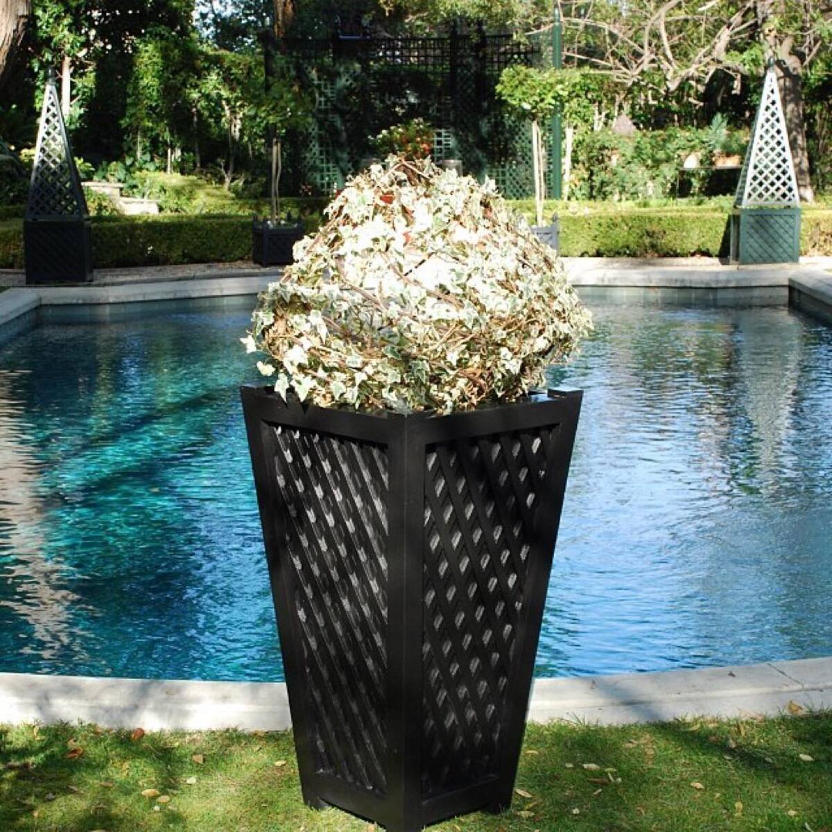 beautiful container plants perfect for poolside decor 5