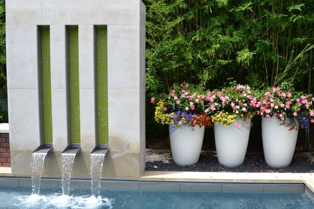 beautiful container plants perfect for poolside decor 7