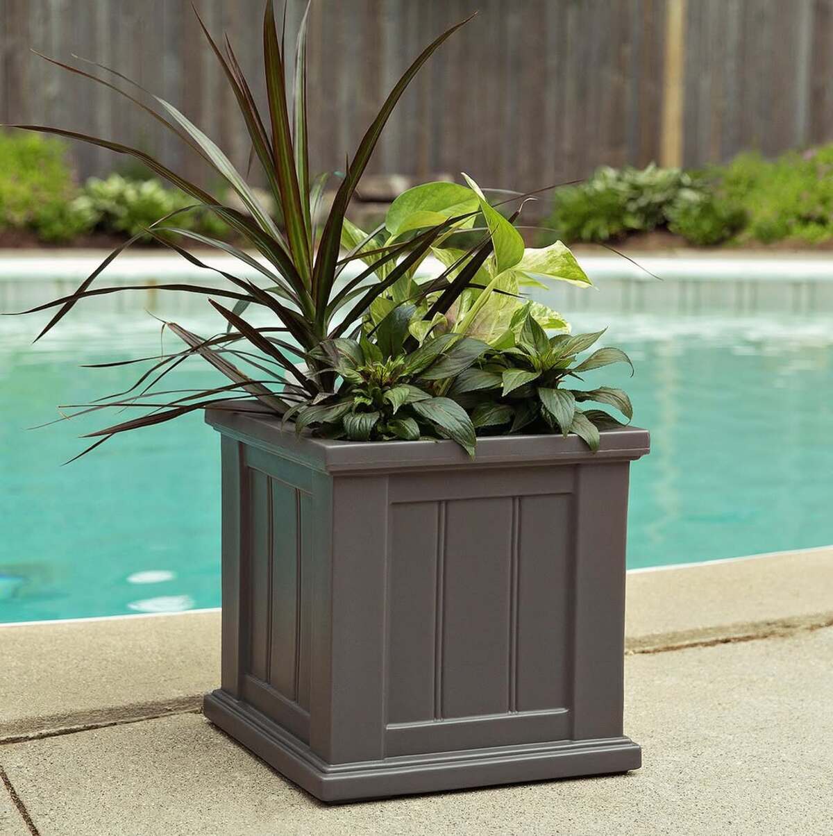 beautiful container plants perfect for poolside decor 8