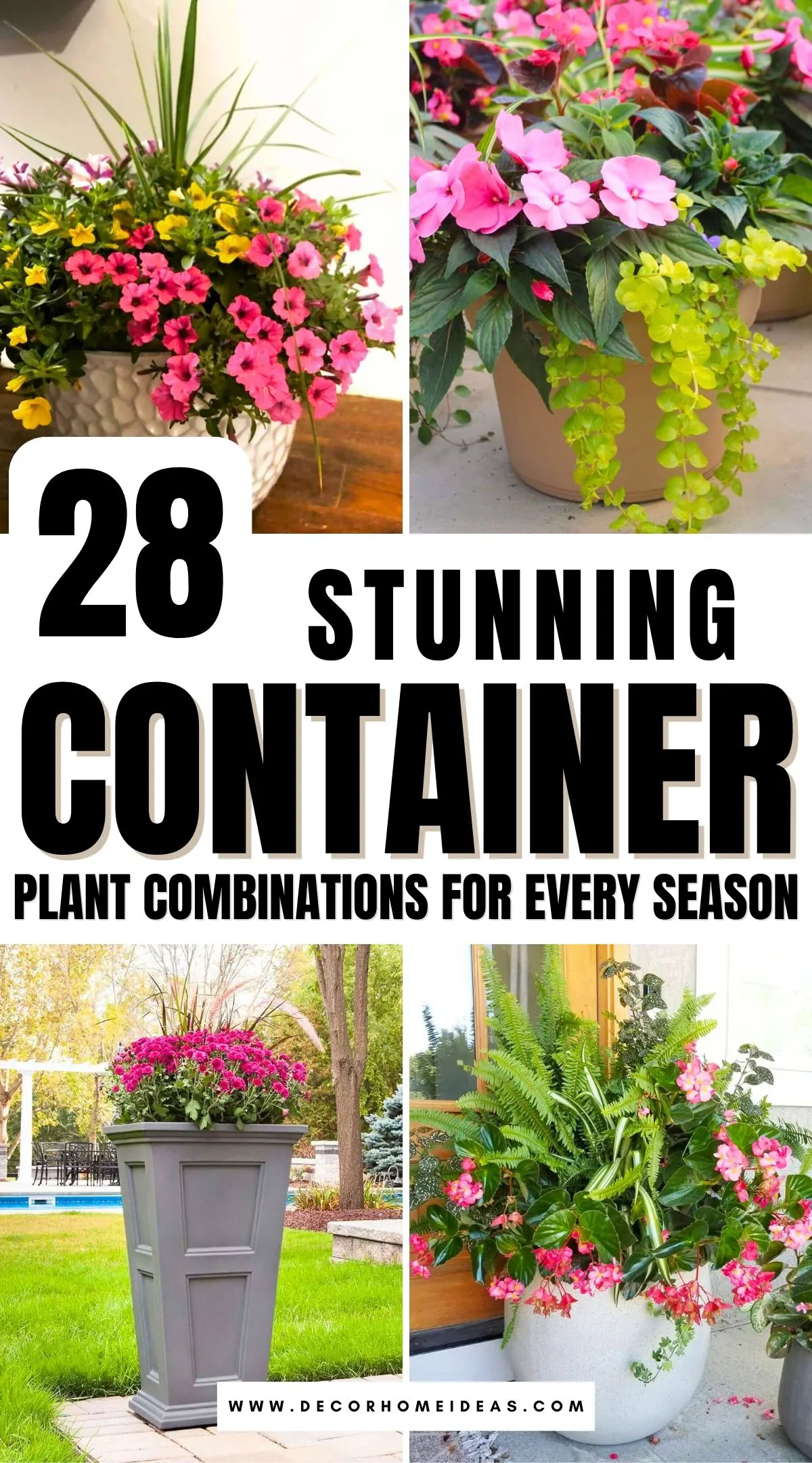 Discover 28 gorgeous container plant combinations that thrive in every season! From vibrant spring blooms to winter evergreens, these creative pairings bring color and texture to your space year-round. Find the perfect mix for your patio, balcony, or garden and keep it looking fresh in any weather!