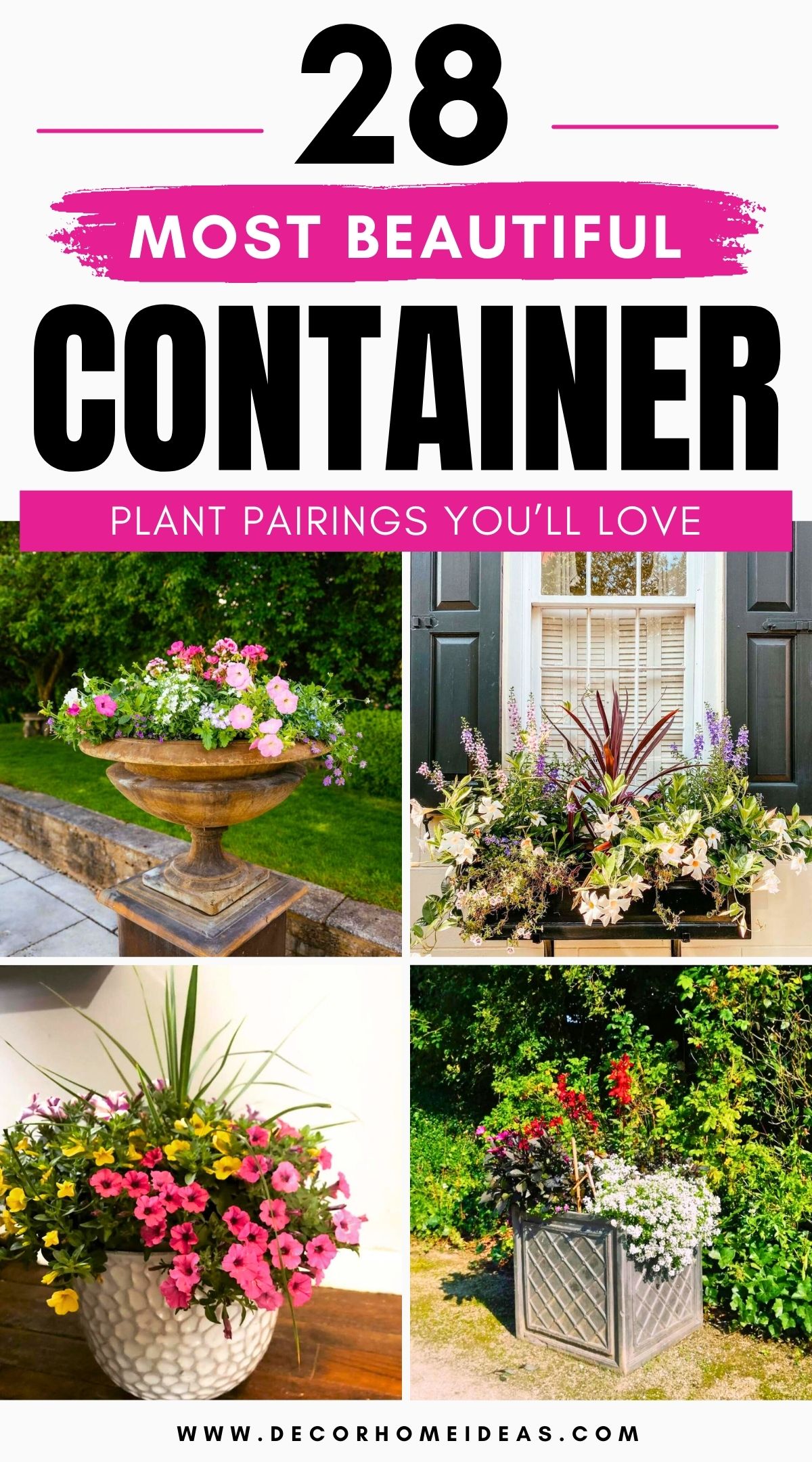 best container plant combinations 4