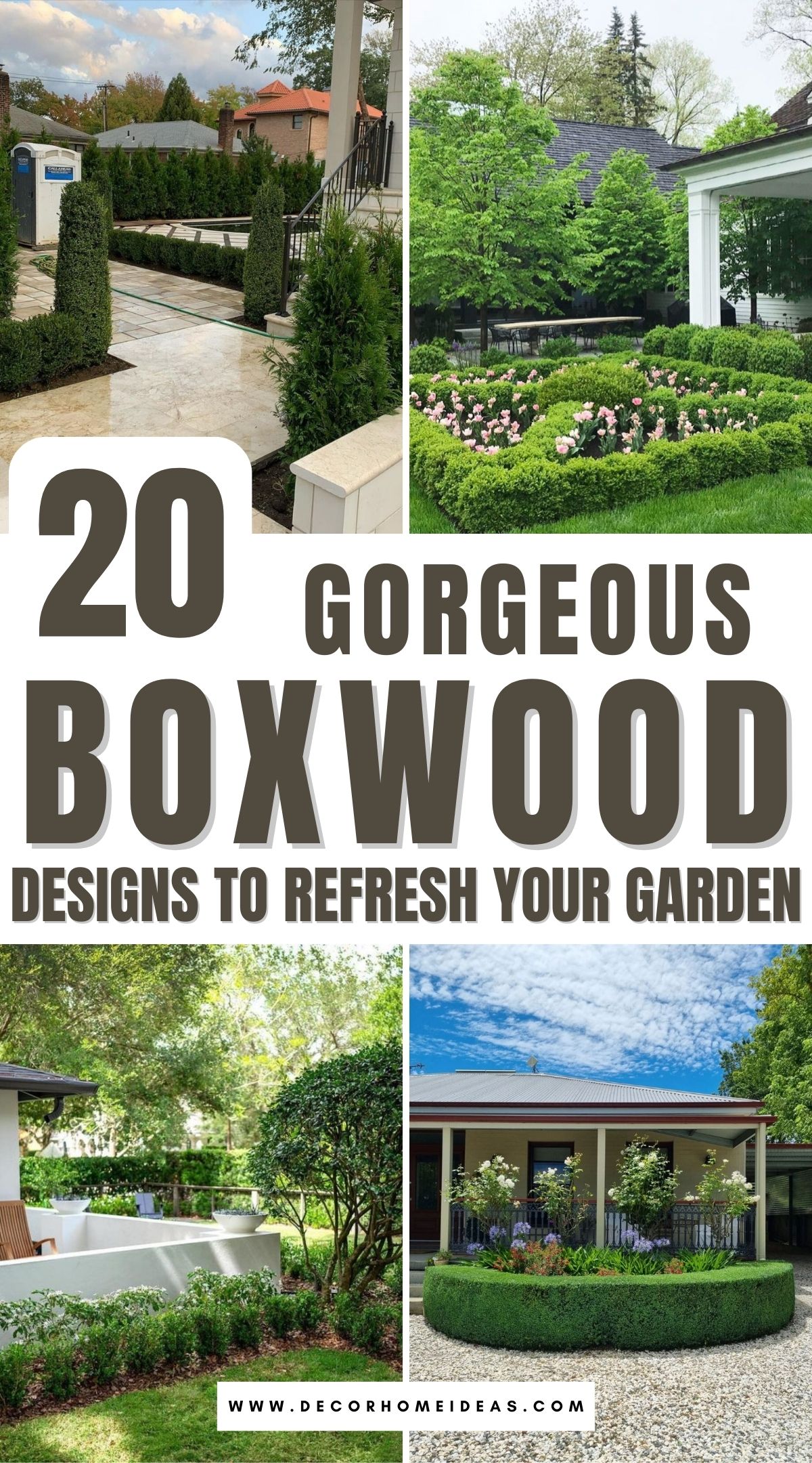 boxwood landscaping ideas 2