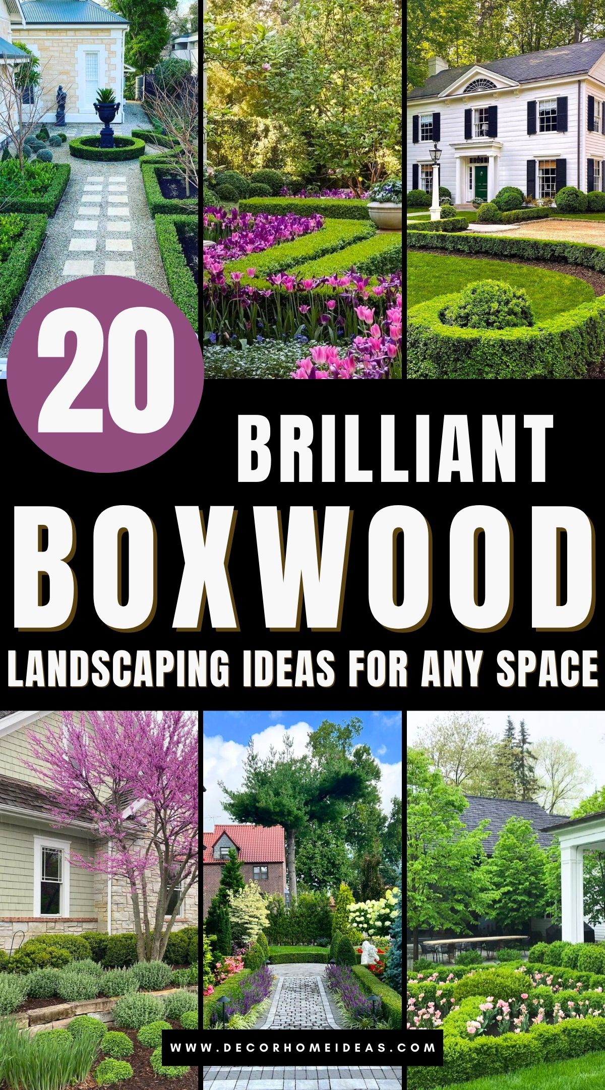 boxwood landscaping ideas 3