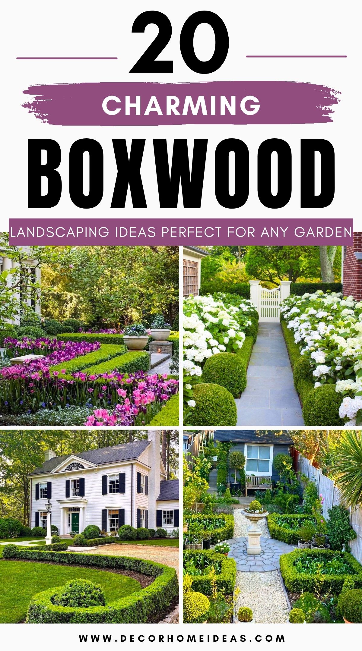 boxwood landscaping ideas 4