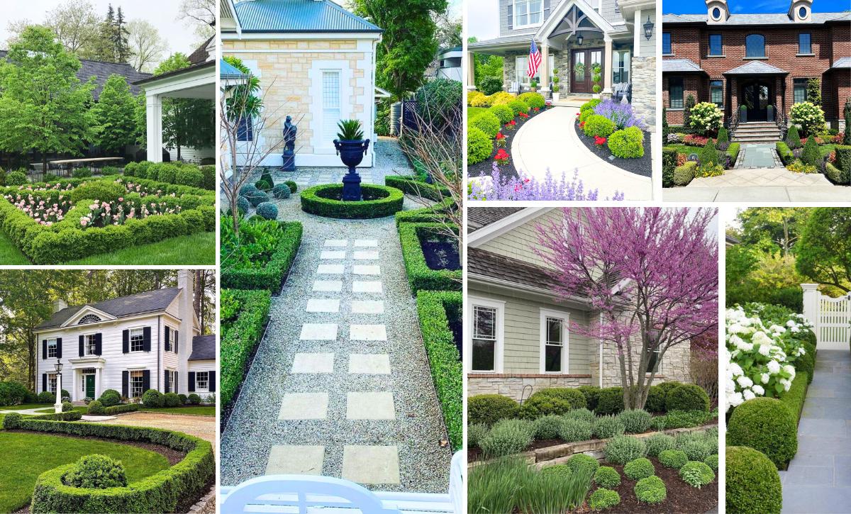 boxwood landscaping ideas