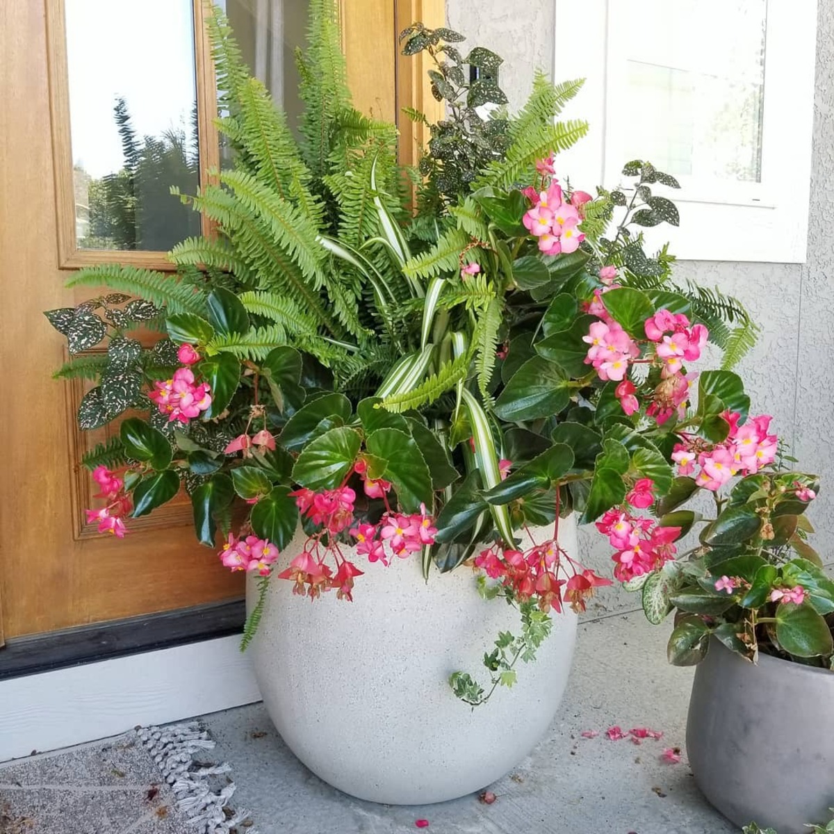 container plant combinations 3