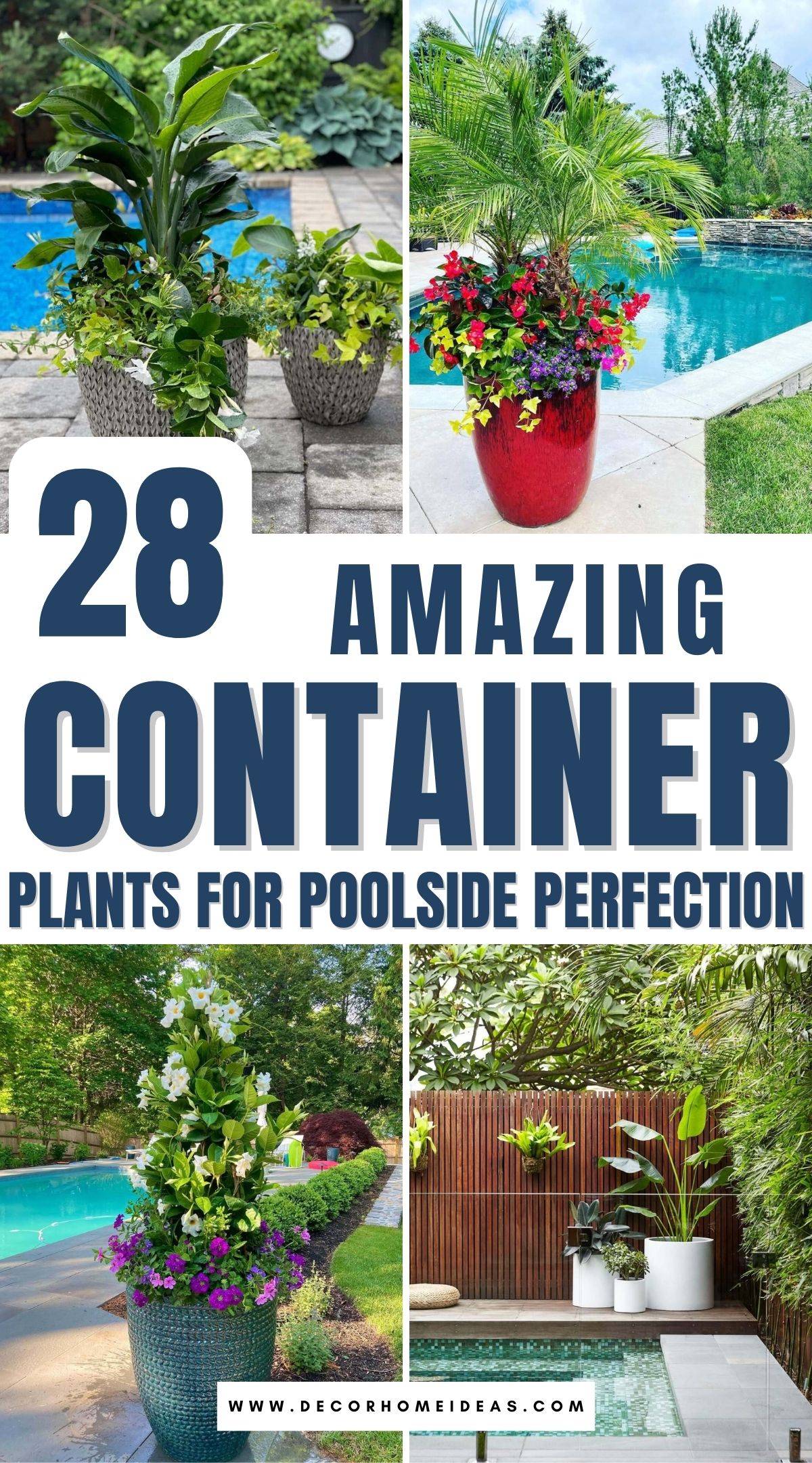 container plants for poolside decor 2