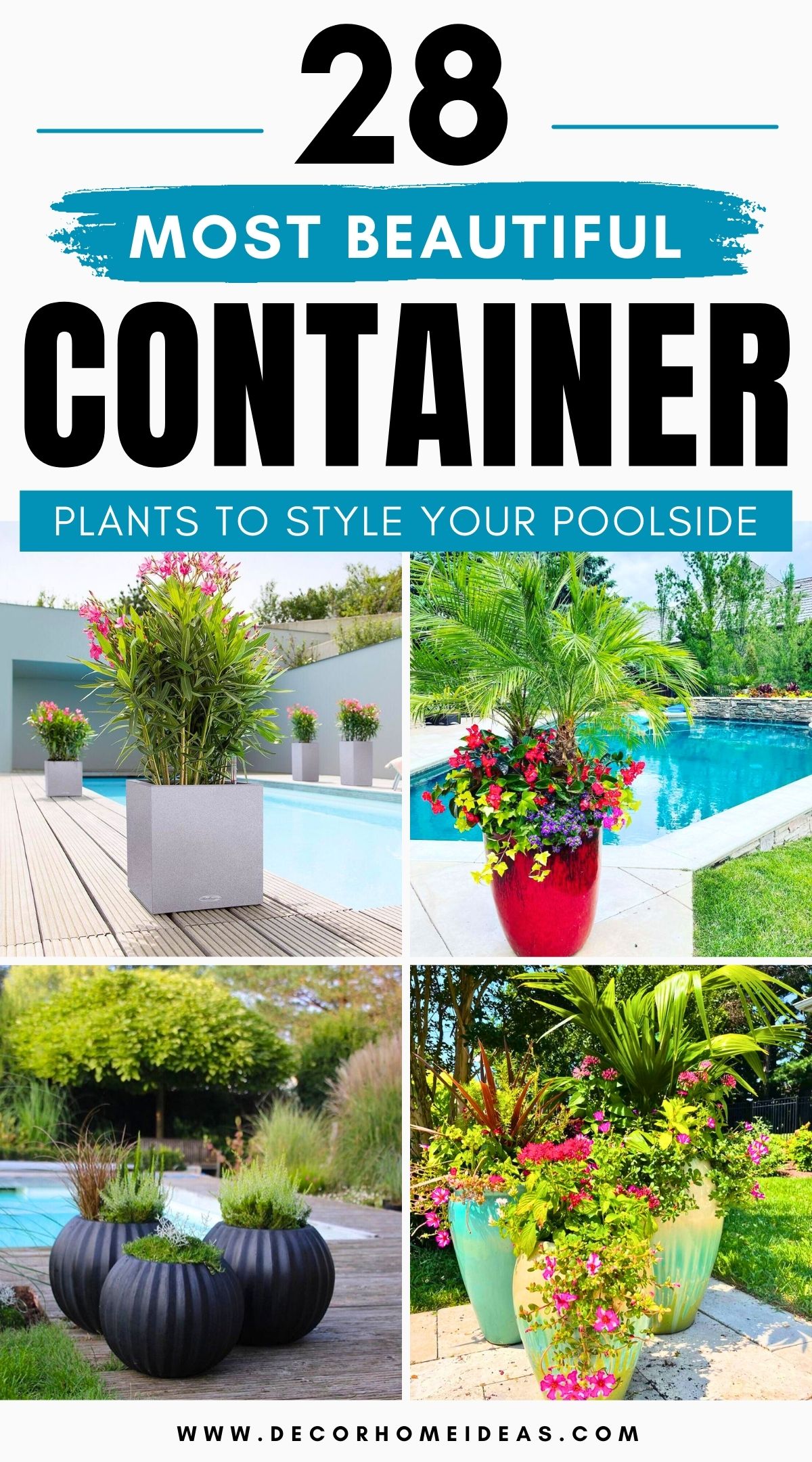 container plants for poolside decor 4