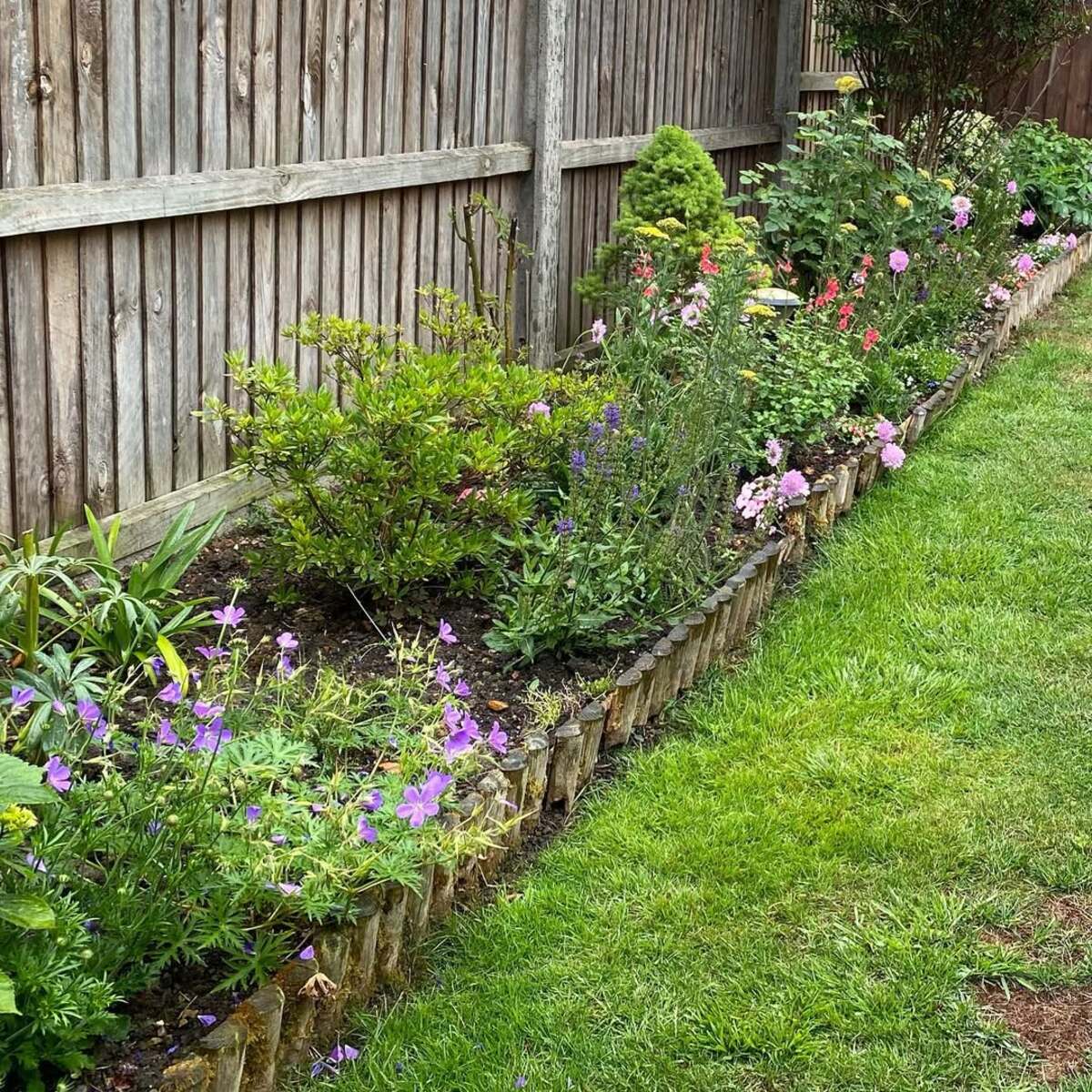 landscaping edging ideas to define your garden 22