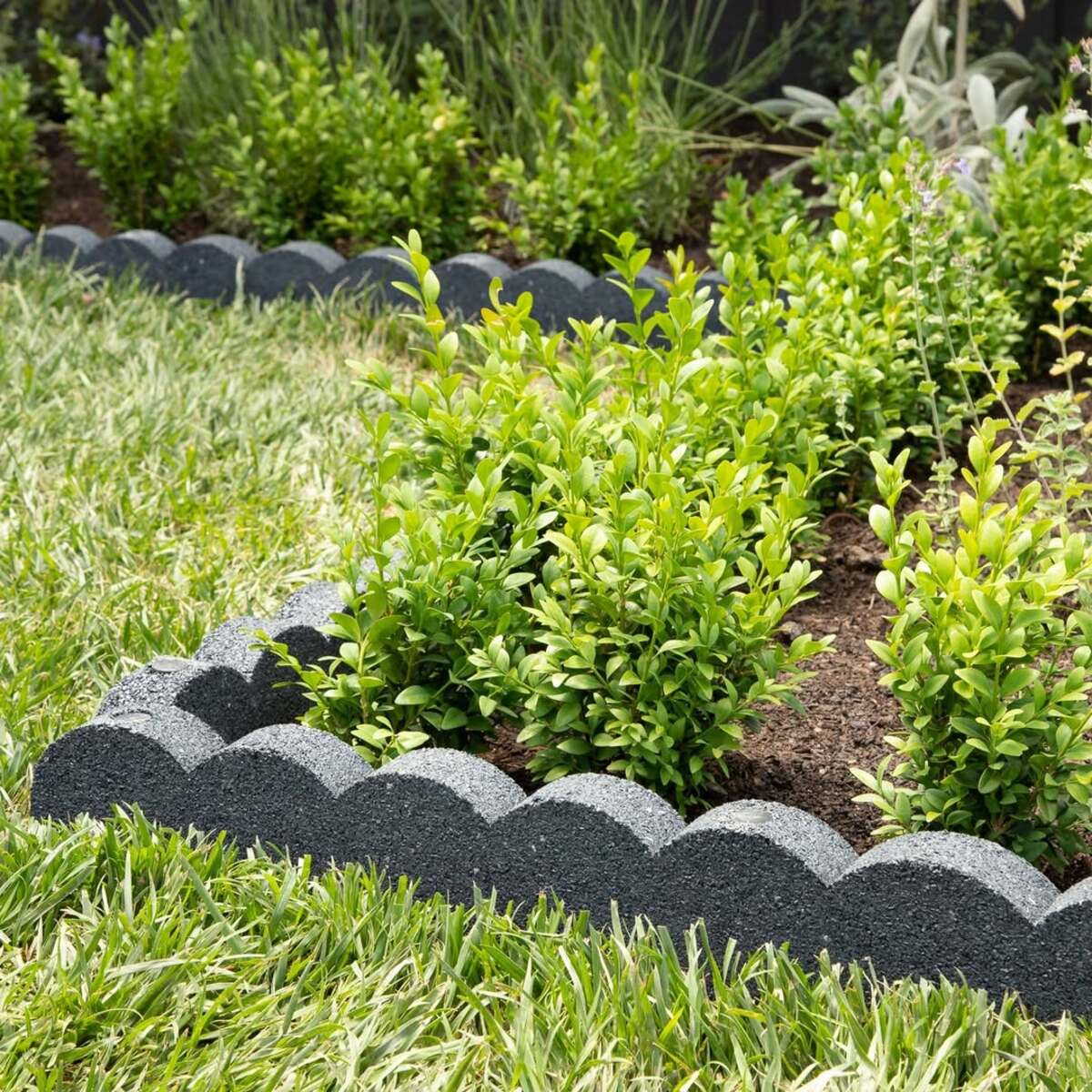 landscaping edging ideas to define your garden 6