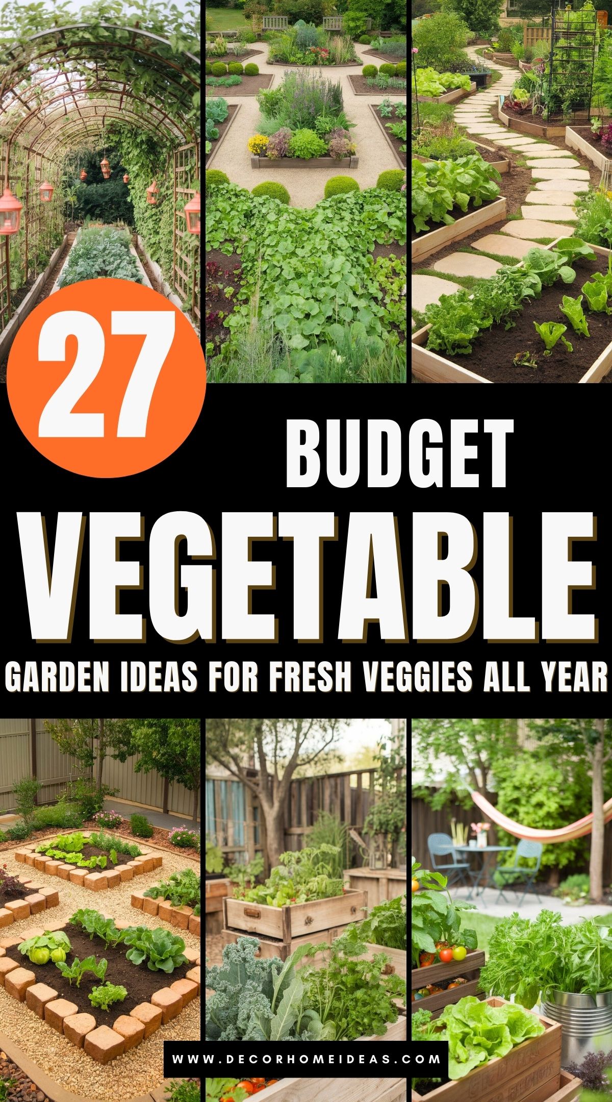 low budget vegetable garden 3