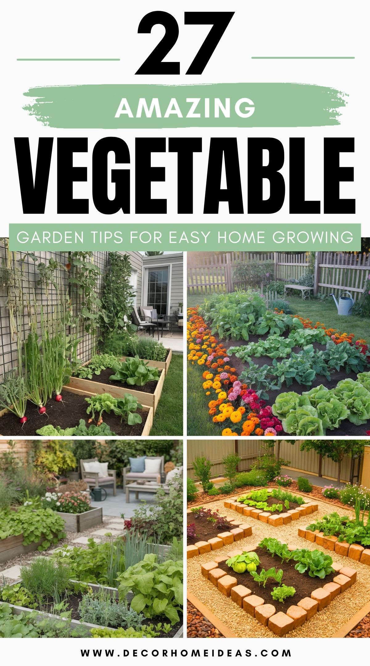 low budget vegetable garden 4