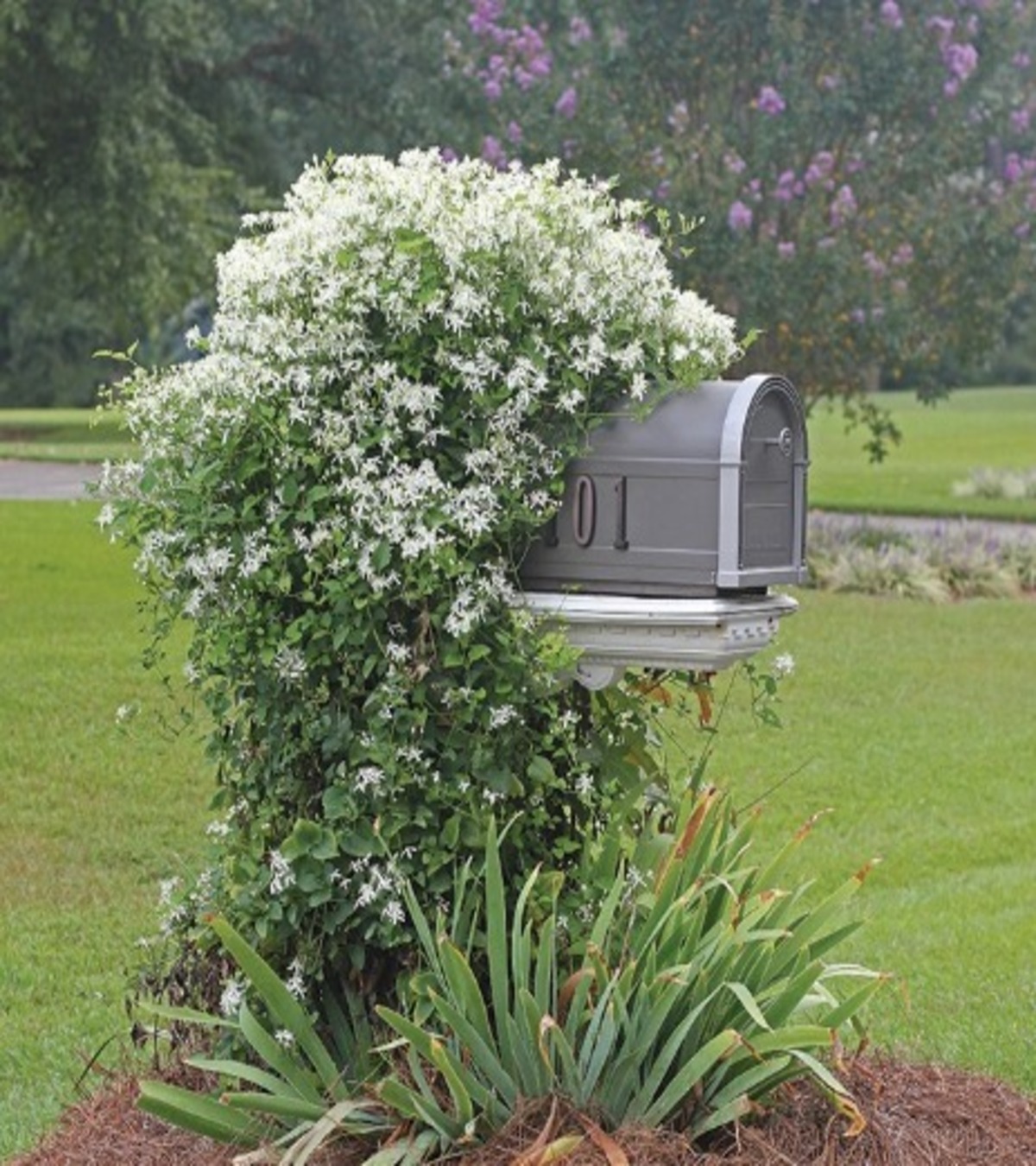 modern mailbox flower bed ideas 14