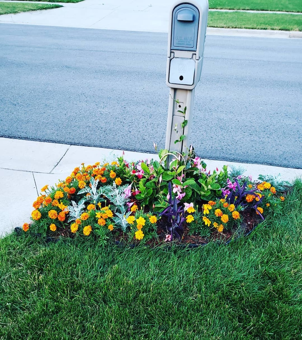 modern mailbox flower bed ideas 15