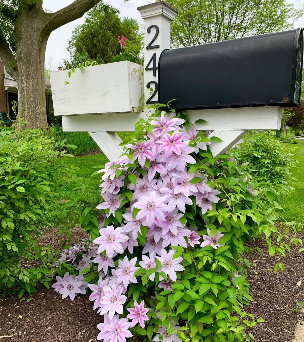 modern mailbox flower bed ideas 18