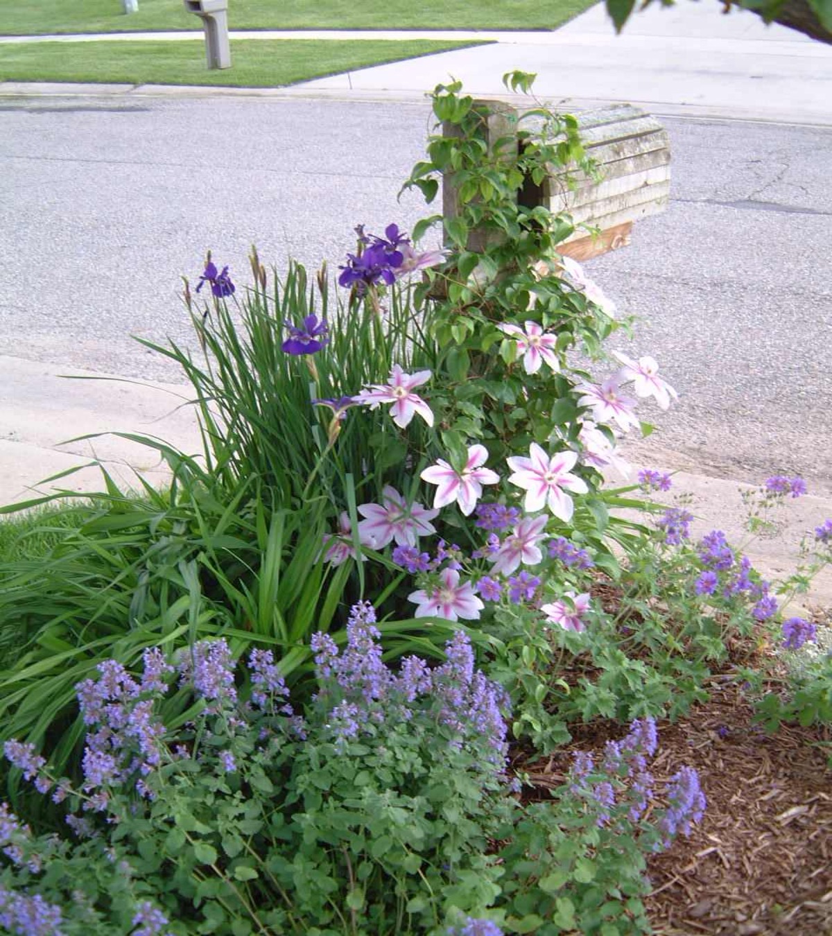 modern mailbox flower bed ideas 19