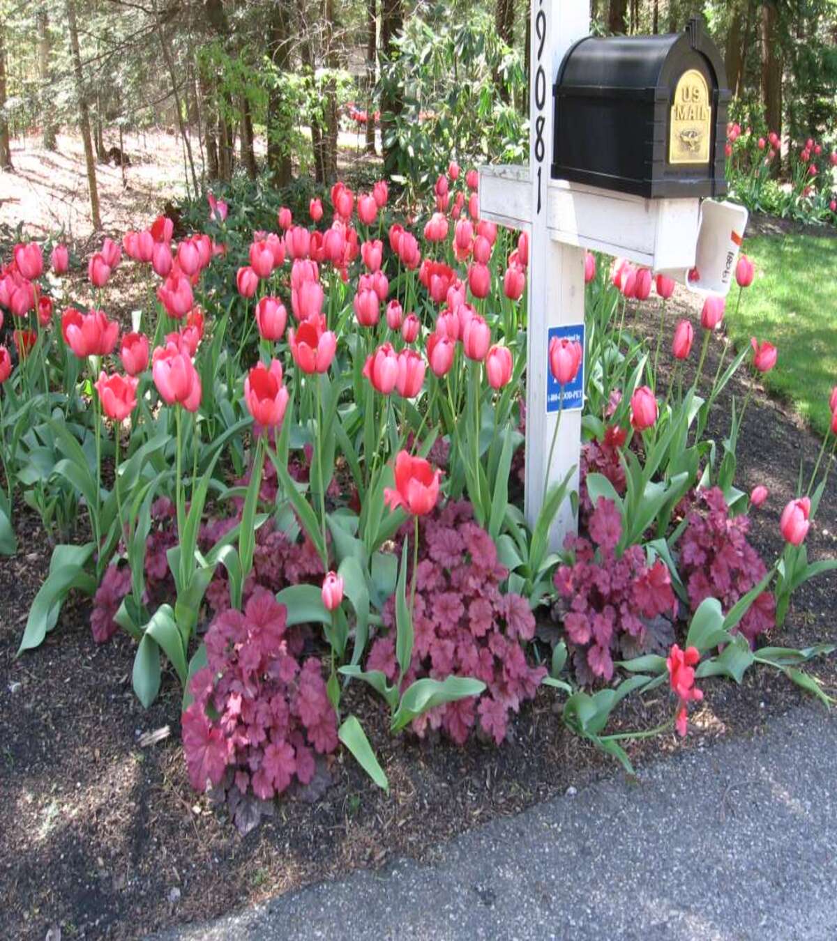 modern mailbox flower bed ideas 21