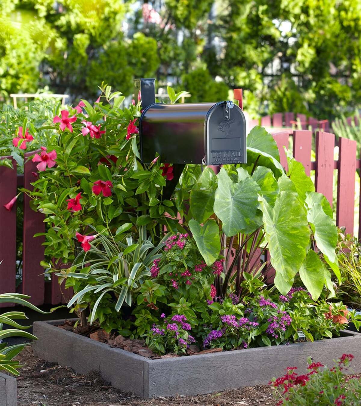 modern mailbox flower bed ideas 24