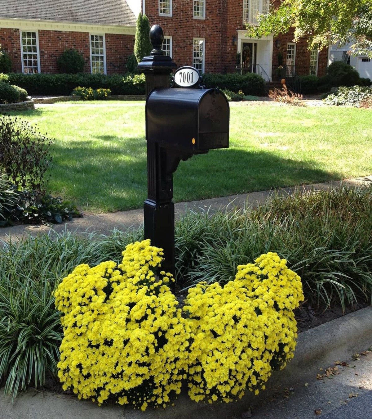 modern mailbox flower bed ideas 26