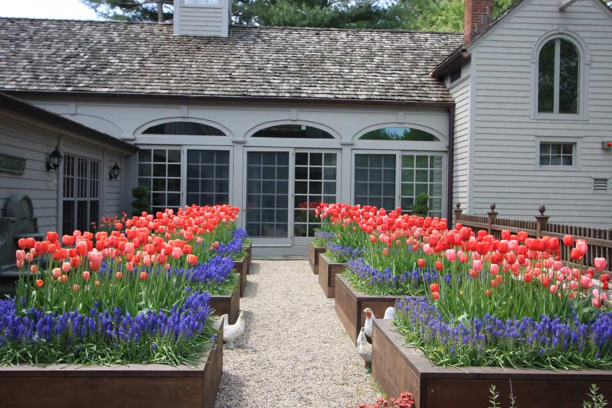 raised flower bed ideas along the fence 13