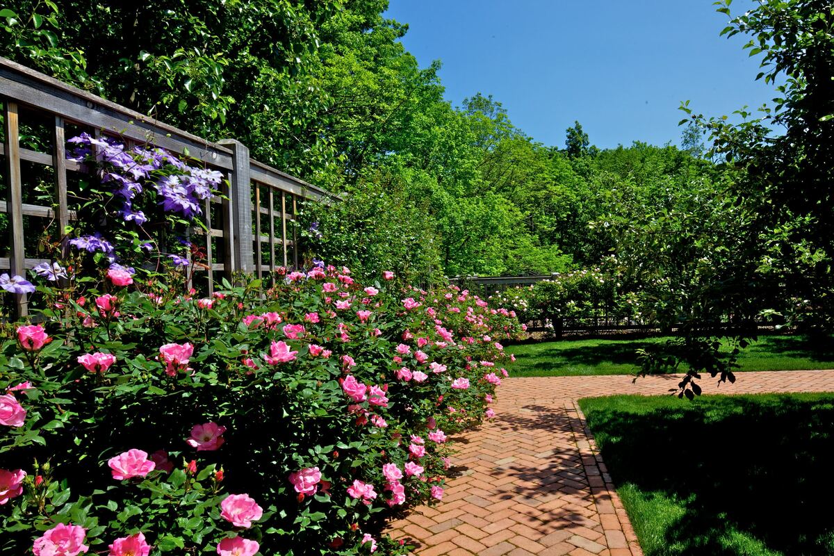 raised flower bed ideas along the fence 16