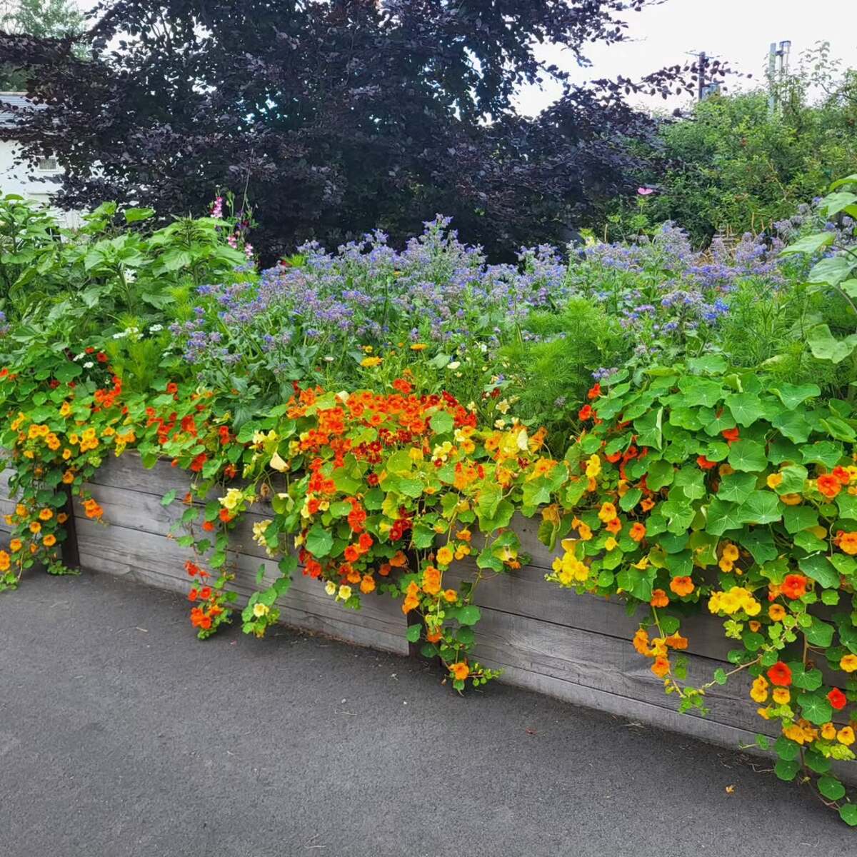 raised flower bed ideas along the fence 4