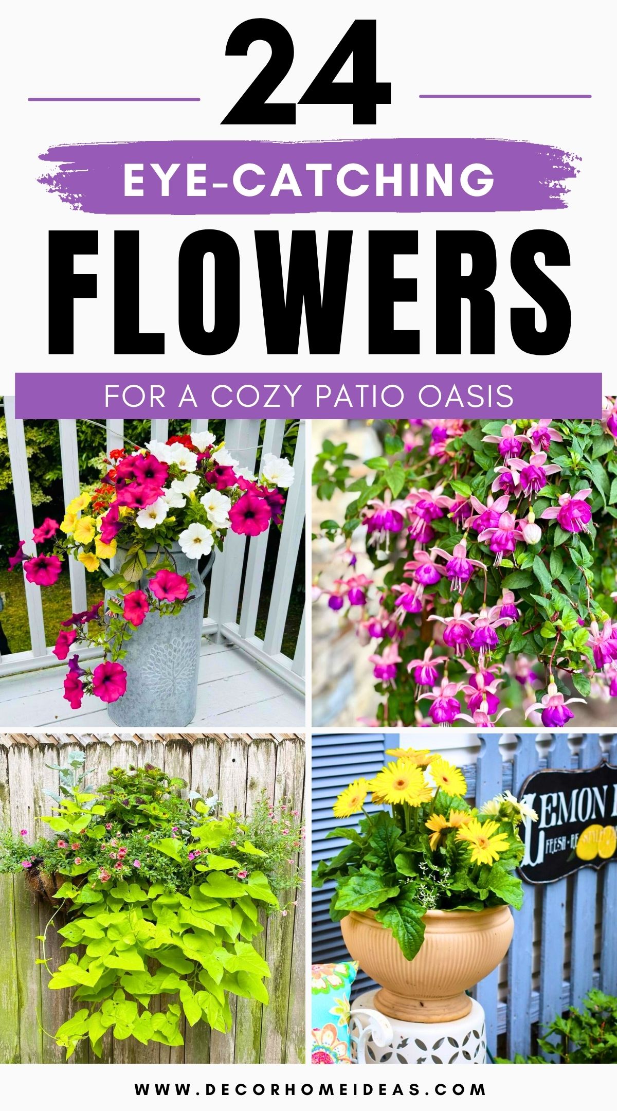 beautiful flowers for patios 4